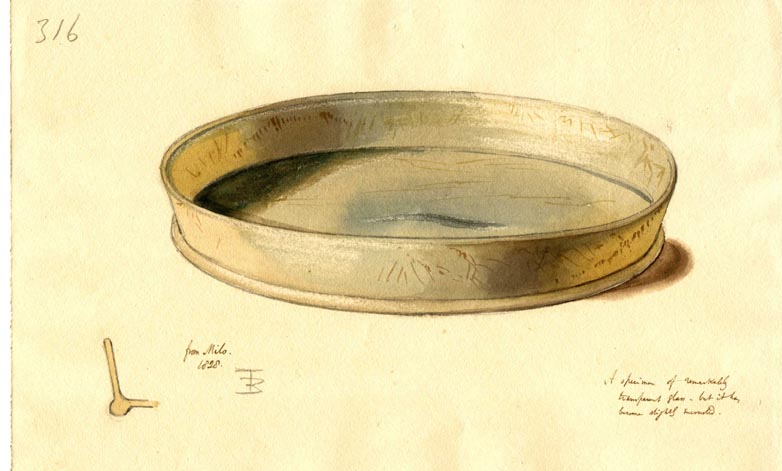 316, shallow glass dish, slightly scratched, lipped bottom
